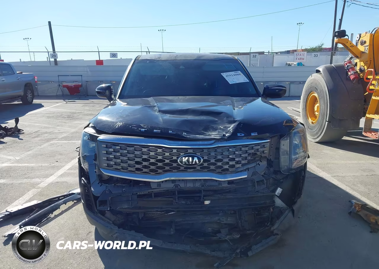 2020 Kia Telluride Lx VIN:5XYP24HC4LG077466 - 13