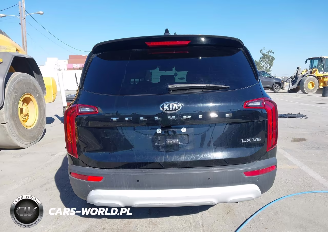 2020 Kia Telluride Lx VIN:5XYP24HC4LG077466 - 17