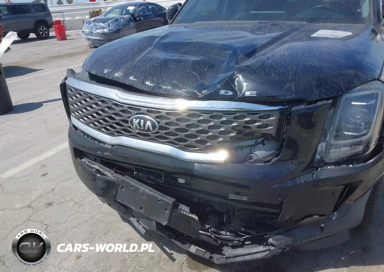 2020 Kia Telluride Lx VIN:5XYP24HC4LG077466 - 19