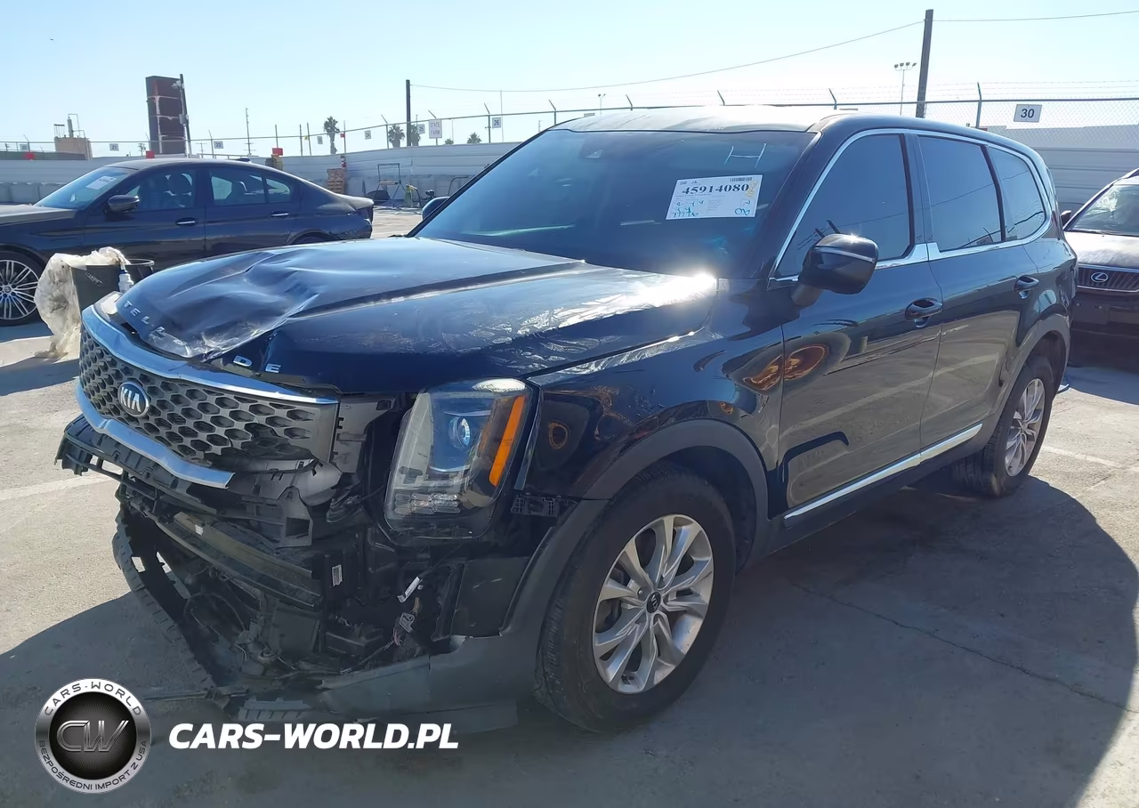 2020 Kia Telluride Lx VIN:5XYP24HC4LG077466 - 2