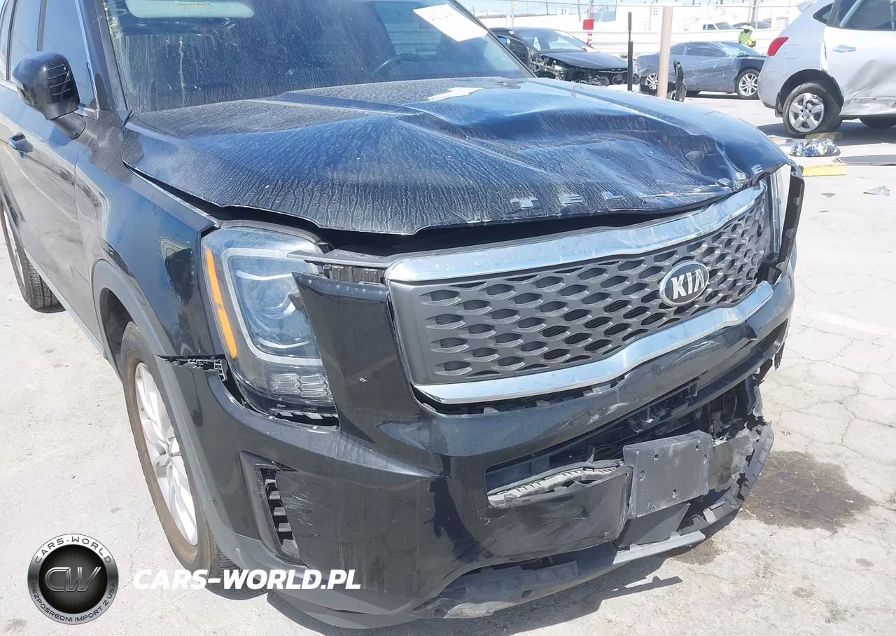 2020 Kia Telluride Lx VIN:5XYP24HC4LG077466 - 20