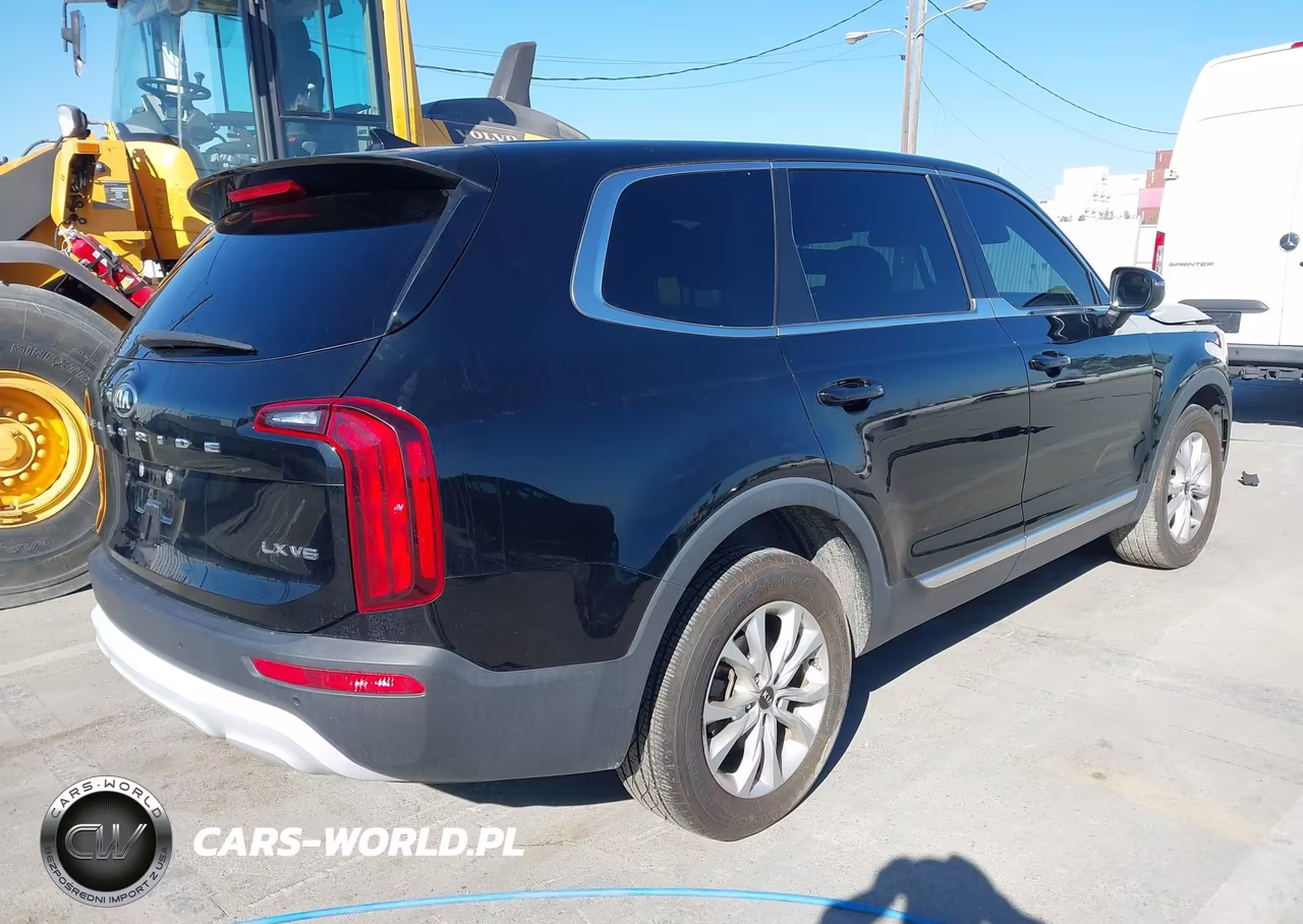 2020 Kia Telluride Lx VIN:5XYP24HC4LG077466 - 4