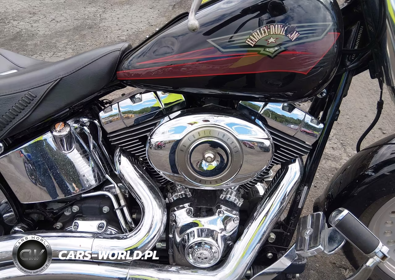 2007 Harley-Davidson Flstf VIN:1HD1BX5147Y078672 - 8