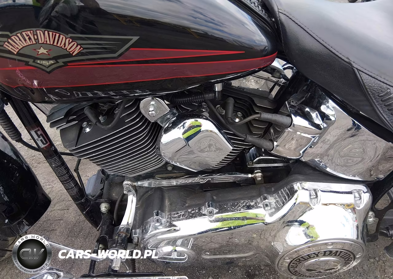 2007 Harley-Davidson Flstf VIN:1HD1BX5147Y078672 - 9
