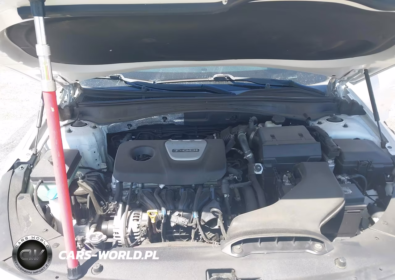 2019 Kia Optima Ex VIN:5XXGU4L1XKG373630 - 10