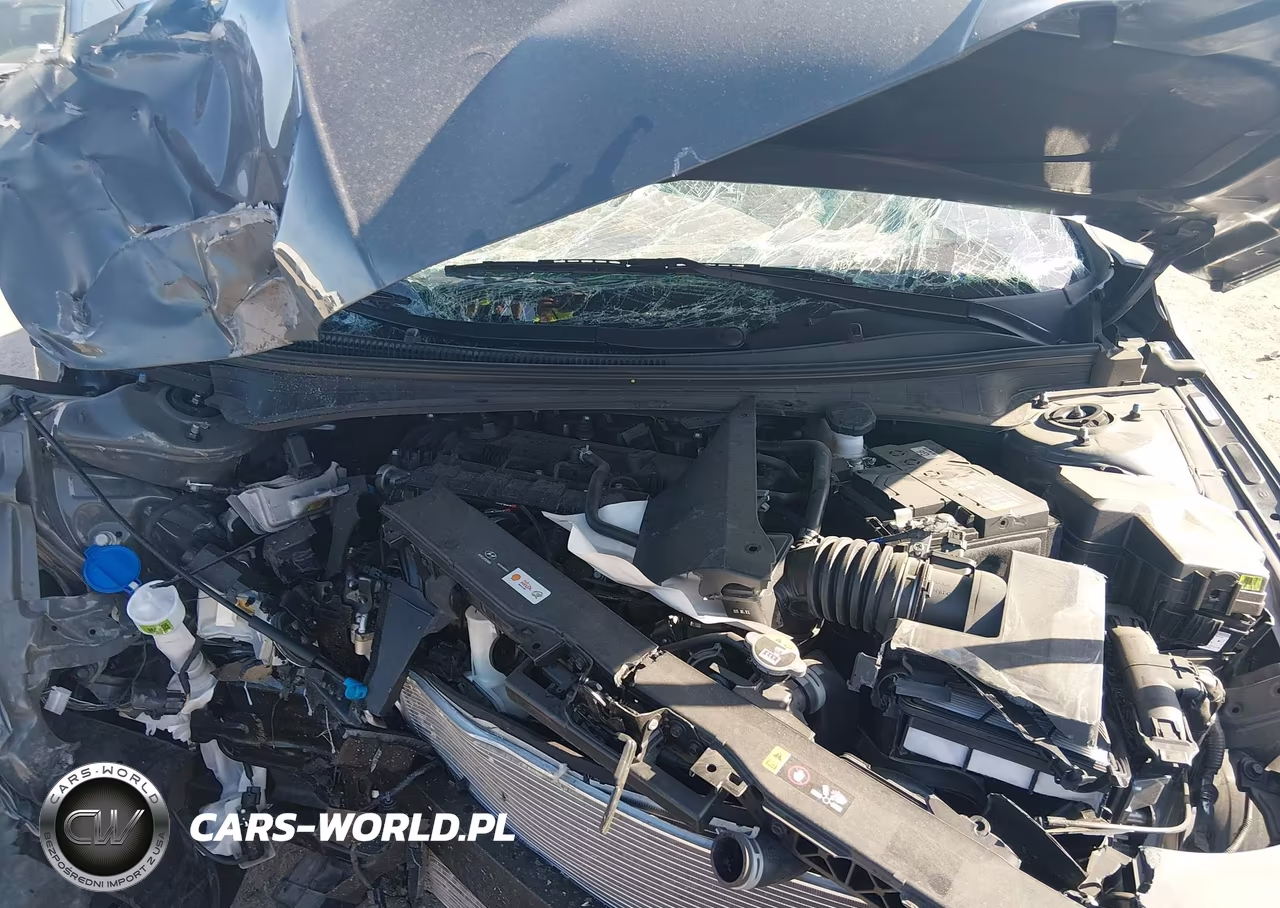2025 Hyundai Elantra Limited VIN:KMHLP4DG5SU087733 - 10