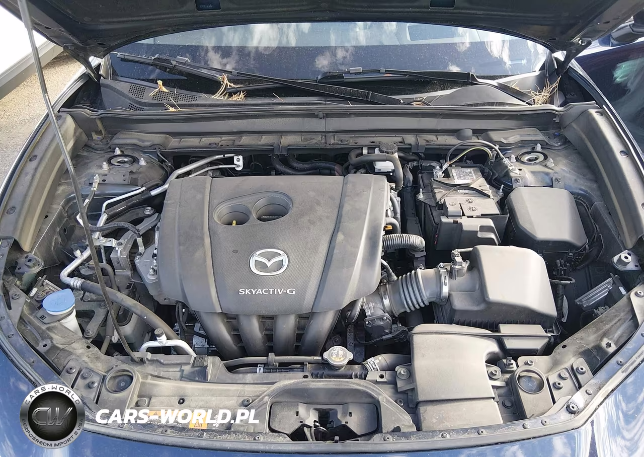 2022 Mazda Cx-30 Premium VIN:3MVDMBDL9NM454031 - 10