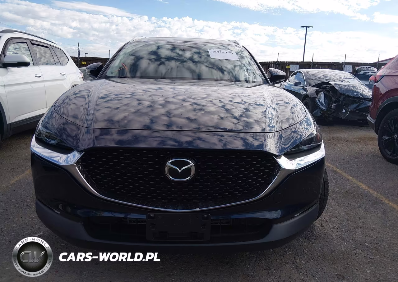 2022 Mazda Cx-30 Premium VIN:3MVDMBDL9NM454031 - 13