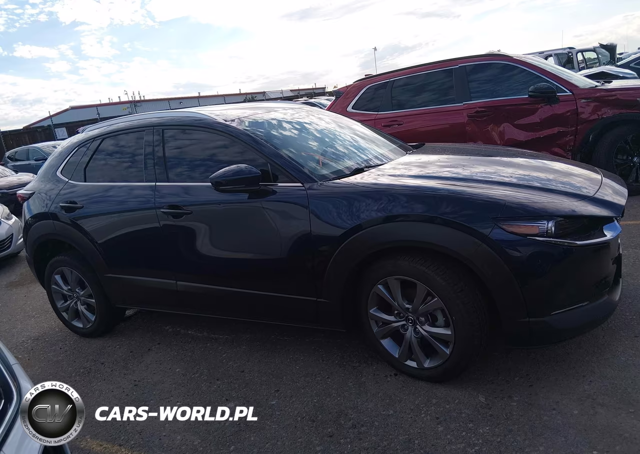 2022 Mazda Cx-30 Premium VIN:3MVDMBDL9NM454031 - 14