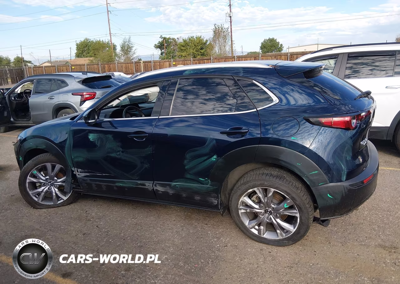 2022 Mazda Cx-30 Premium VIN:3MVDMBDL9NM454031 - 15