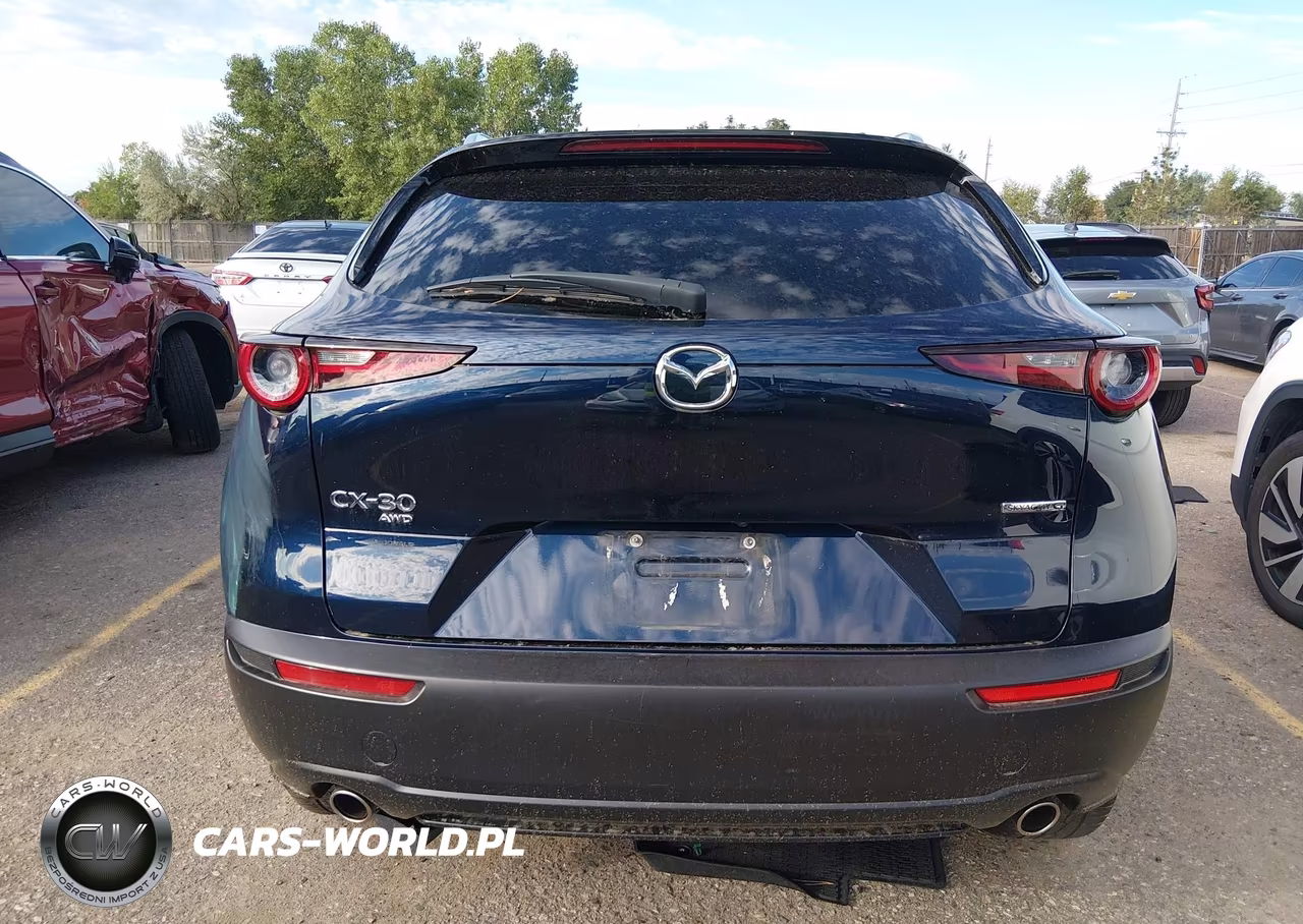2022 Mazda Cx-30 Premium VIN:3MVDMBDL9NM454031 - 17