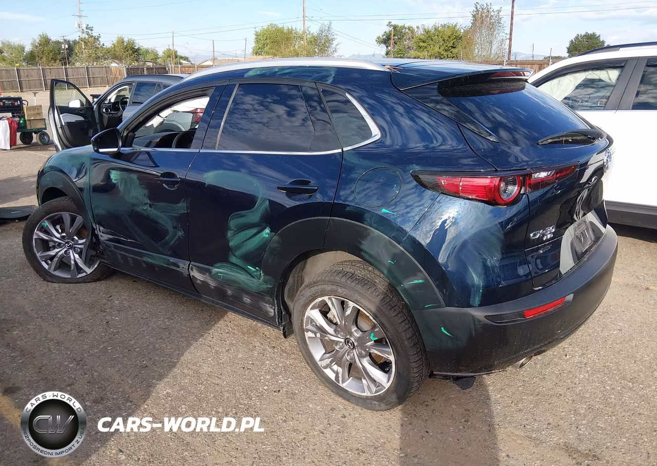 2022 Mazda Cx-30 Premium VIN:3MVDMBDL9NM454031 - 3
