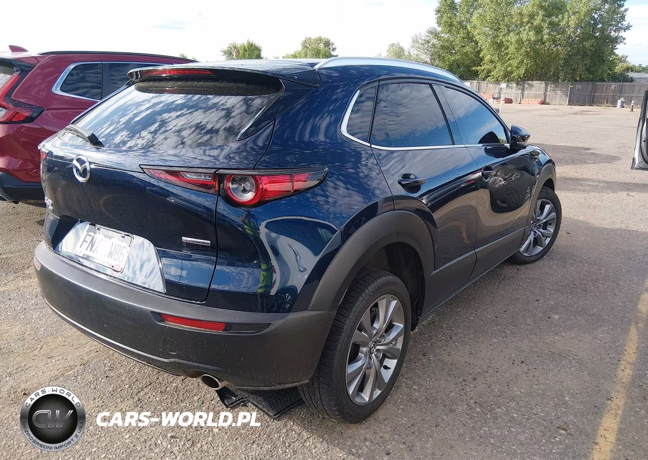 2022 Mazda Cx-30 Premium VIN:3MVDMBDL9NM454031 - 4