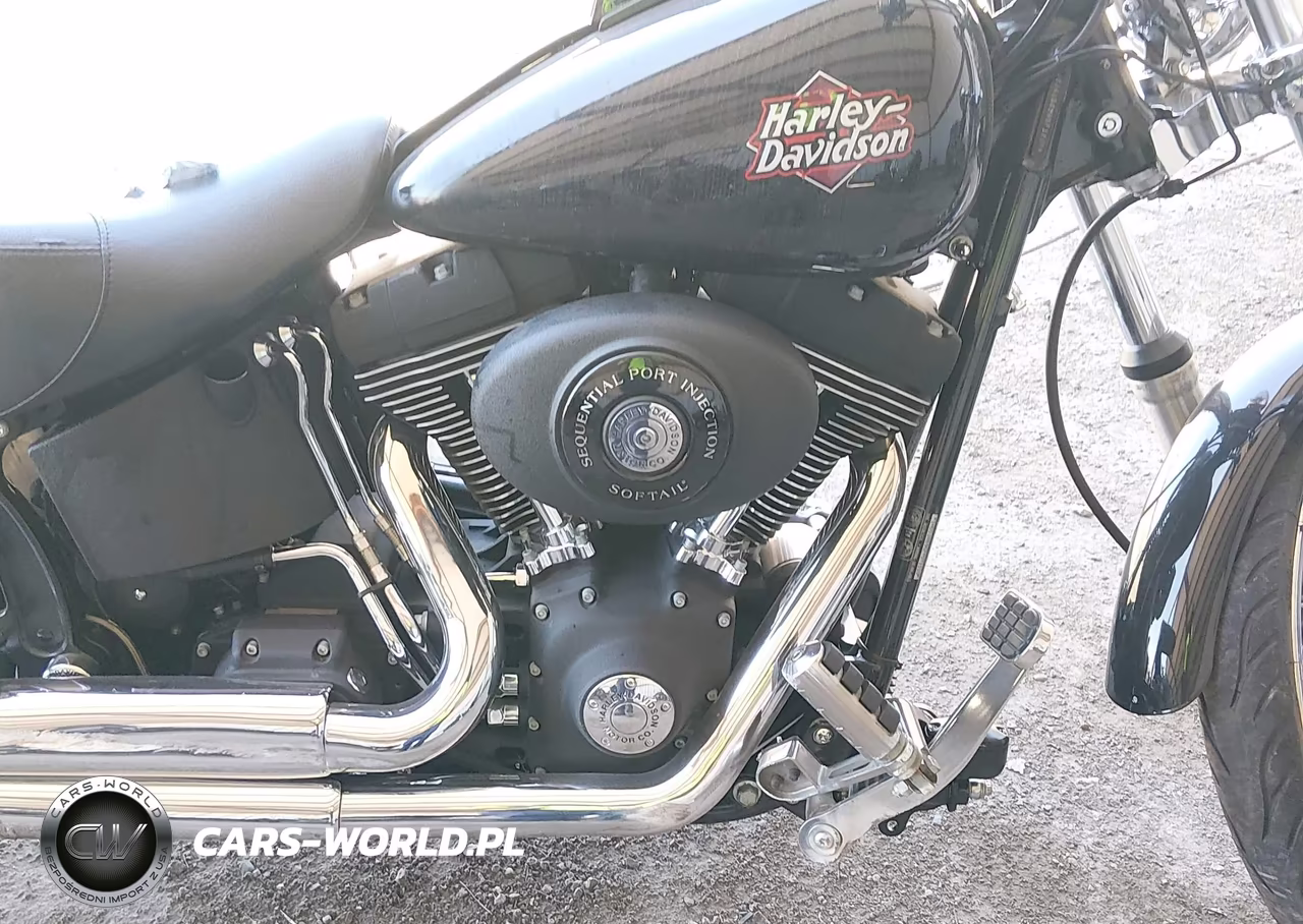 2002 Harley-Davidson Fxstbi VIN:1HD1JAB362Y071110 - 8