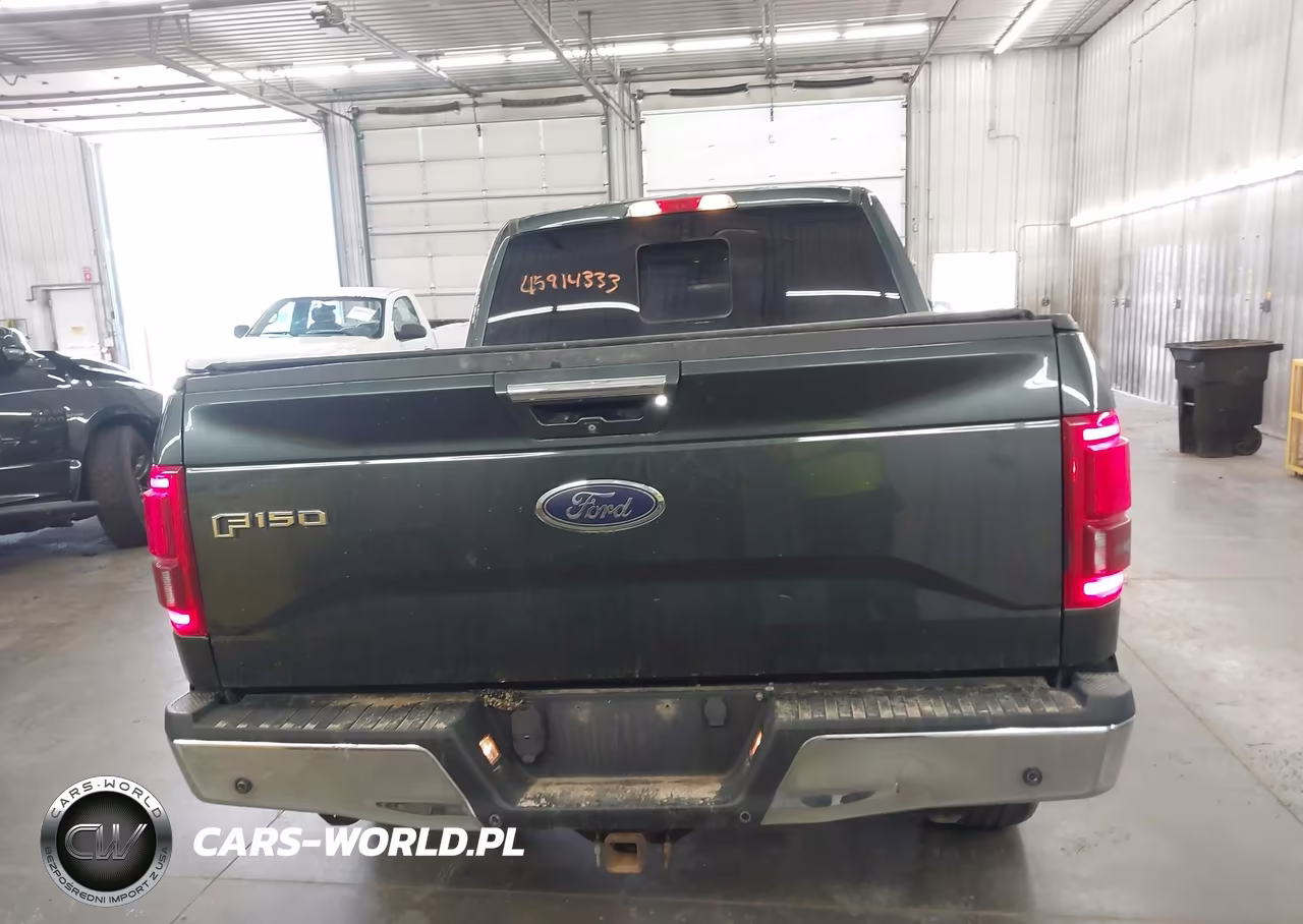2015 Ford F-150 Lariat VIN:1FTFW1EGXFFA88369 - 17