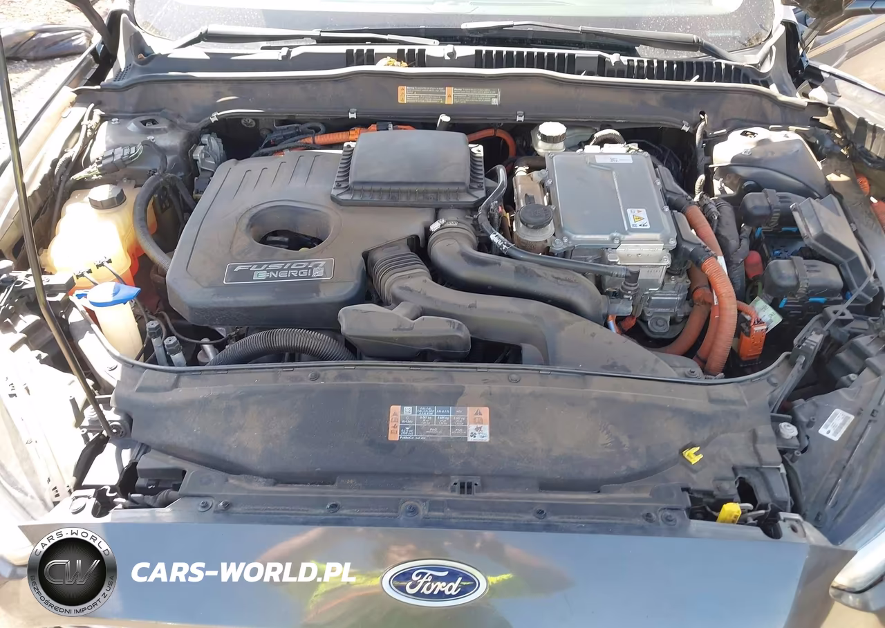 2016 Ford Fusion Energi Titanium VIN:3FA6P0SU5GR115117 - 10