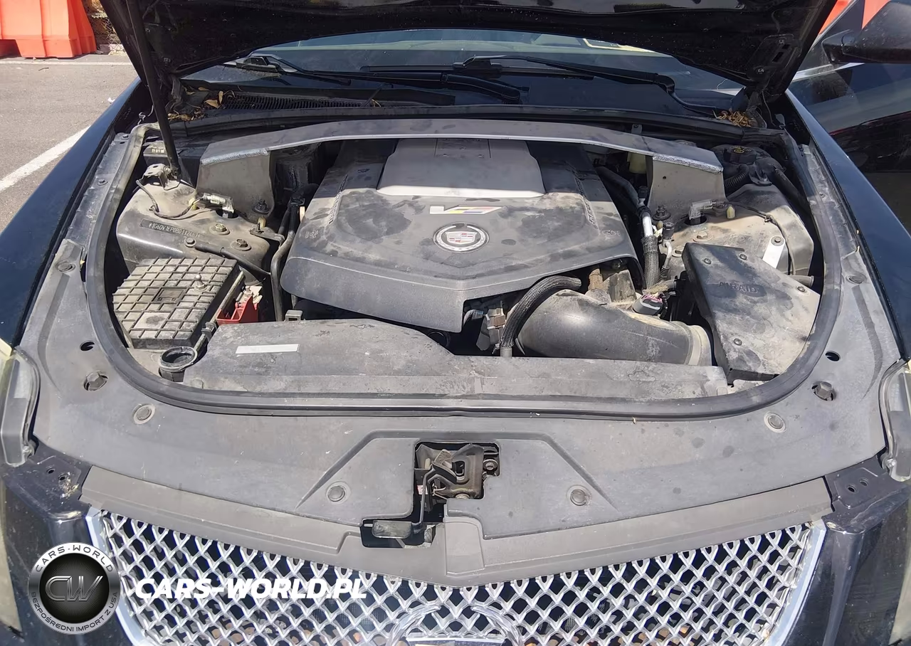 2011 Cadillac Cts-V VIN:1G6DV1EP0B0112463 - 10