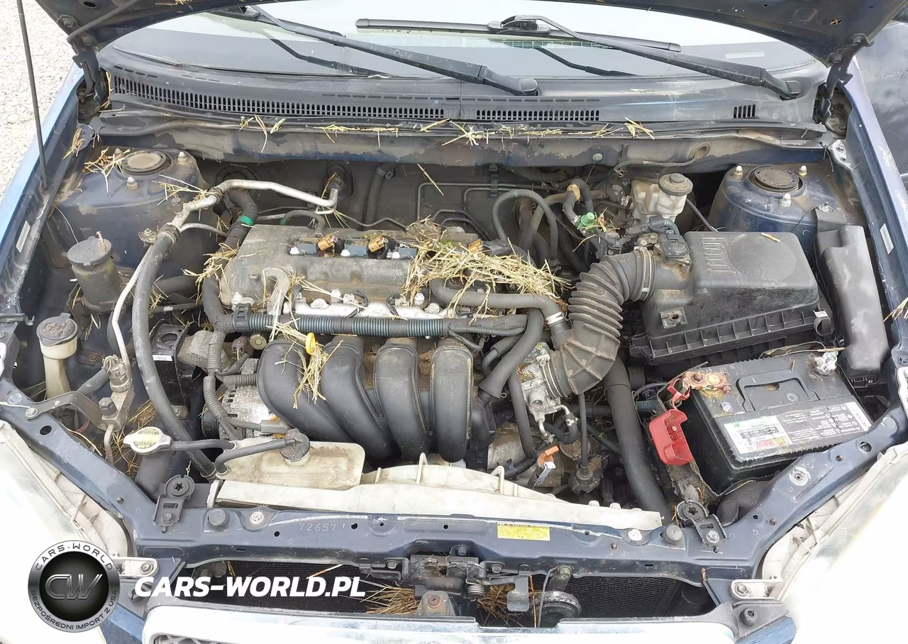 2005 Toyota Corolla Le VIN:1NXBR32E55Z510705 - 10