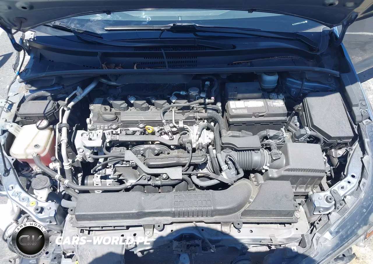 2020 Toyota Corolla Se 6Mt VIN:JTDM4RCE9LJ016908 - 10