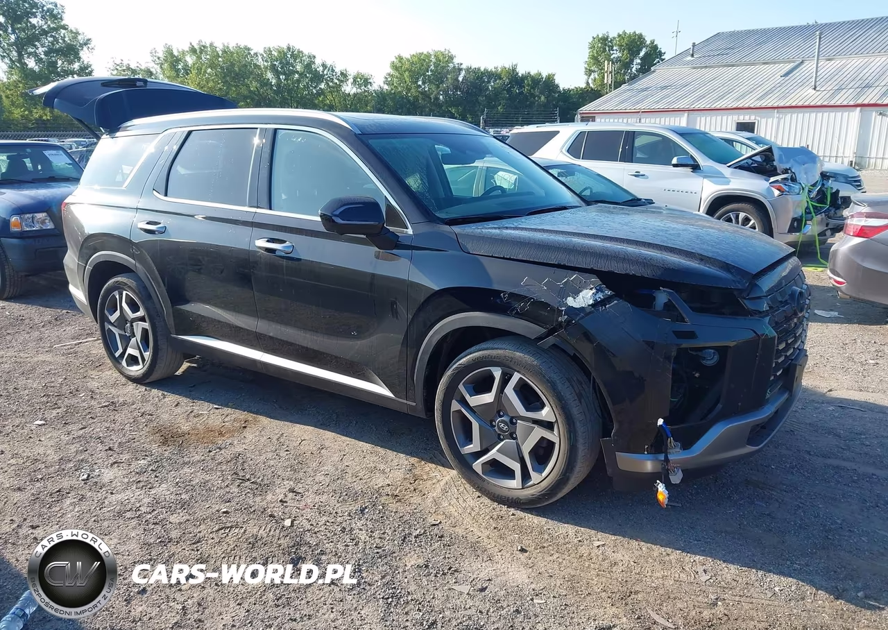 2024 Hyundai Palisade Sel VIN:KM8R4DGE3RU764401 - 1