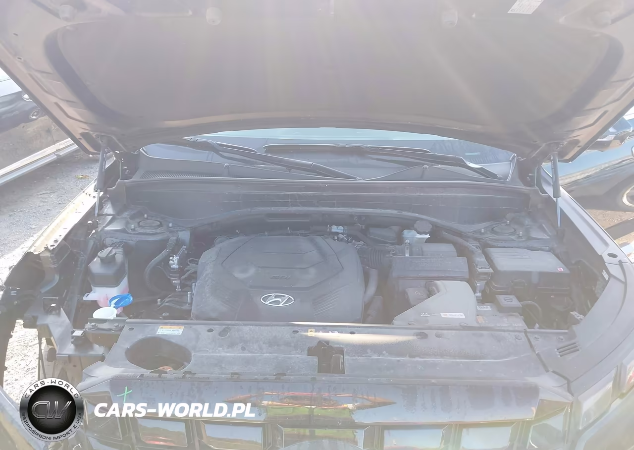 2024 Hyundai Palisade Sel VIN:KM8R4DGE3RU764401 - 10