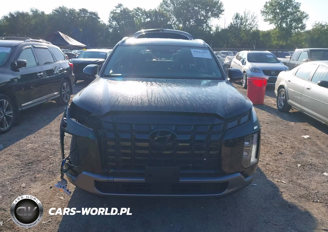 2024 Hyundai Palisade Sel VIN:KM8R4DGE3RU764401 - 12