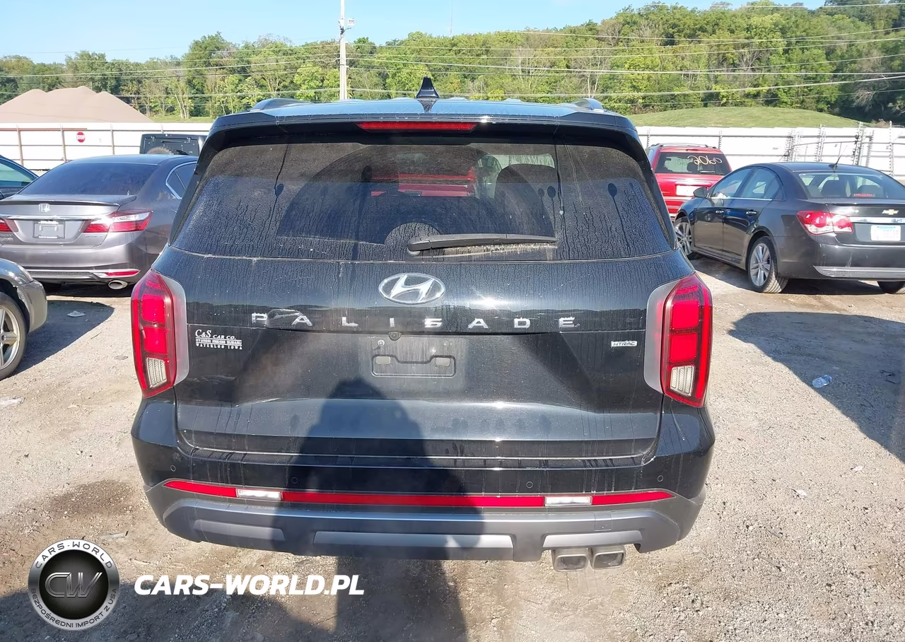 2024 Hyundai Palisade Sel VIN:KM8R4DGE3RU764401 - 16