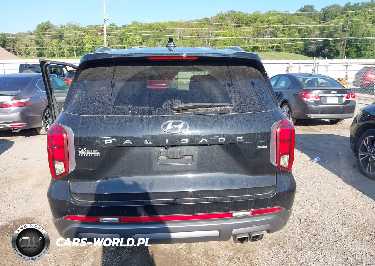 2024 Hyundai Palisade Sel VIN:KM8R4DGE3RU764401 - 20