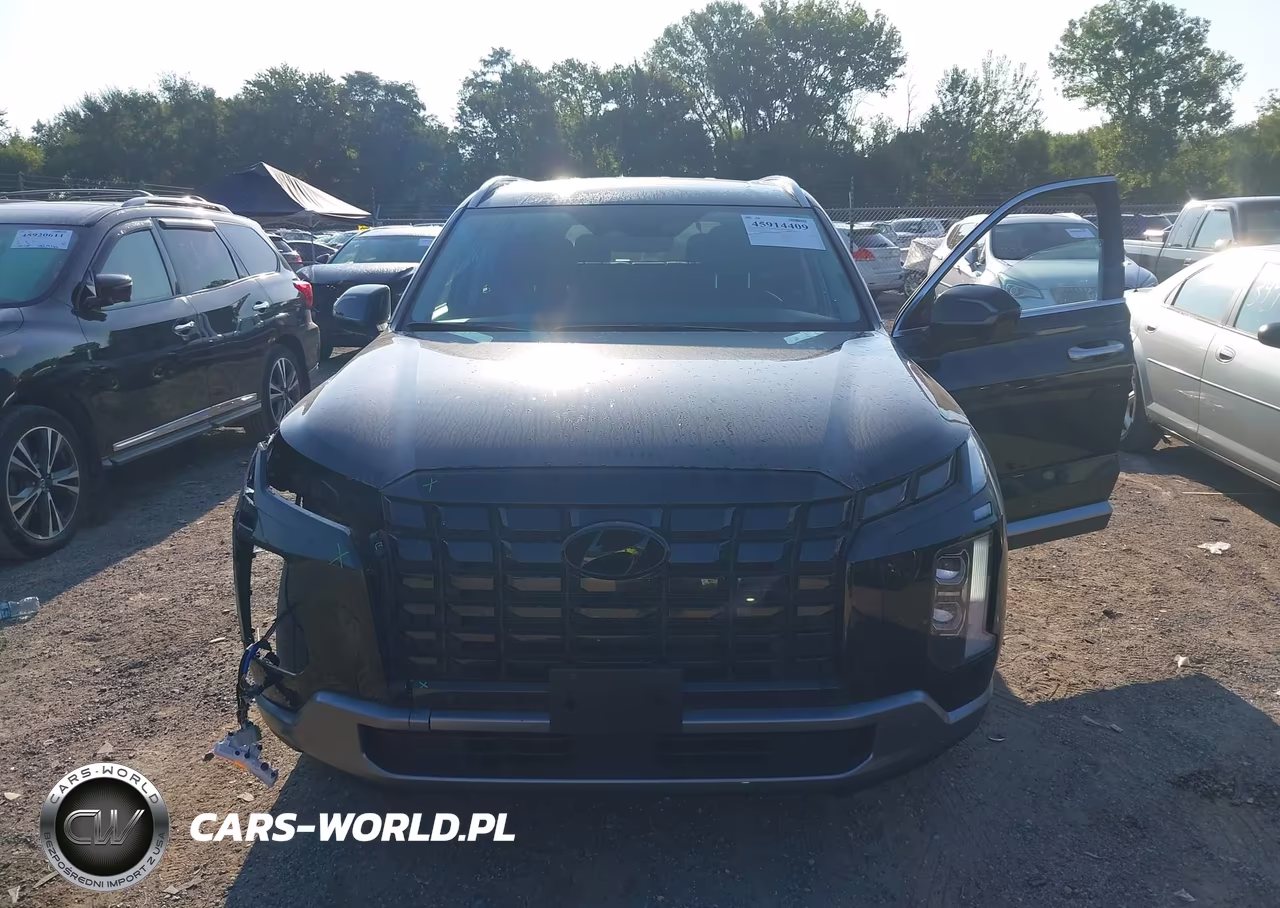 2024 Hyundai Palisade Sel VIN:KM8R4DGE3RU764401 - 21