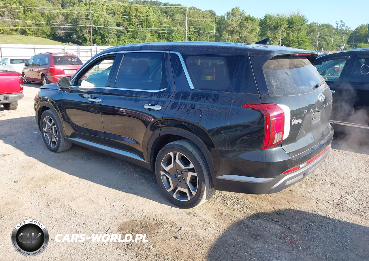 2024 Hyundai Palisade Sel VIN:KM8R4DGE3RU764401 - 3