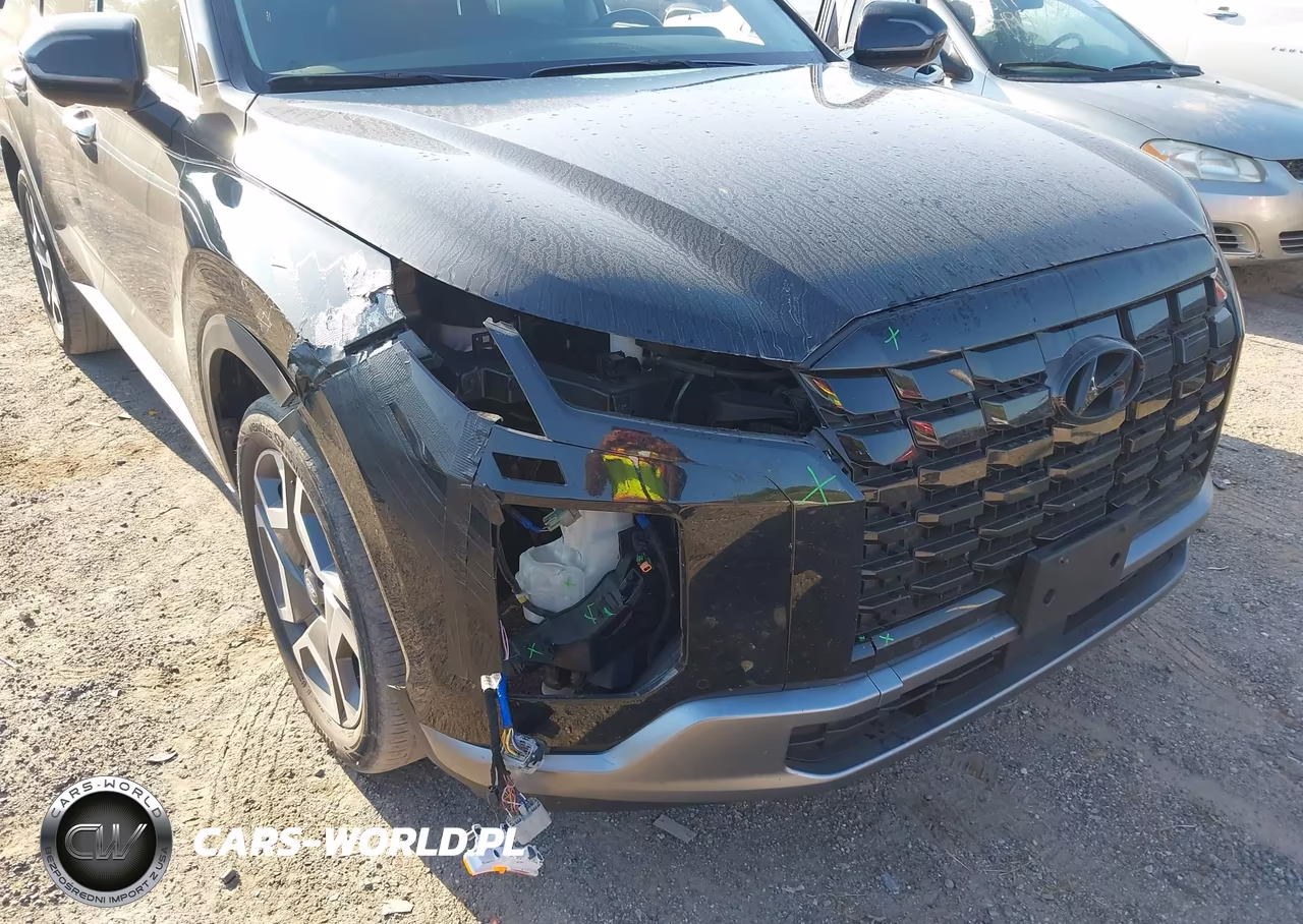 2024 Hyundai Palisade Sel VIN:KM8R4DGE3RU764401 - 6