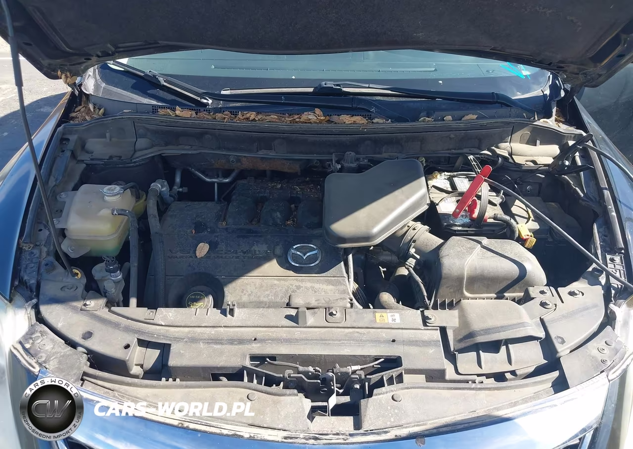2010 Mazda Cx-9 Grand Touring VIN:JM3TB2MV4A0229735 - 10