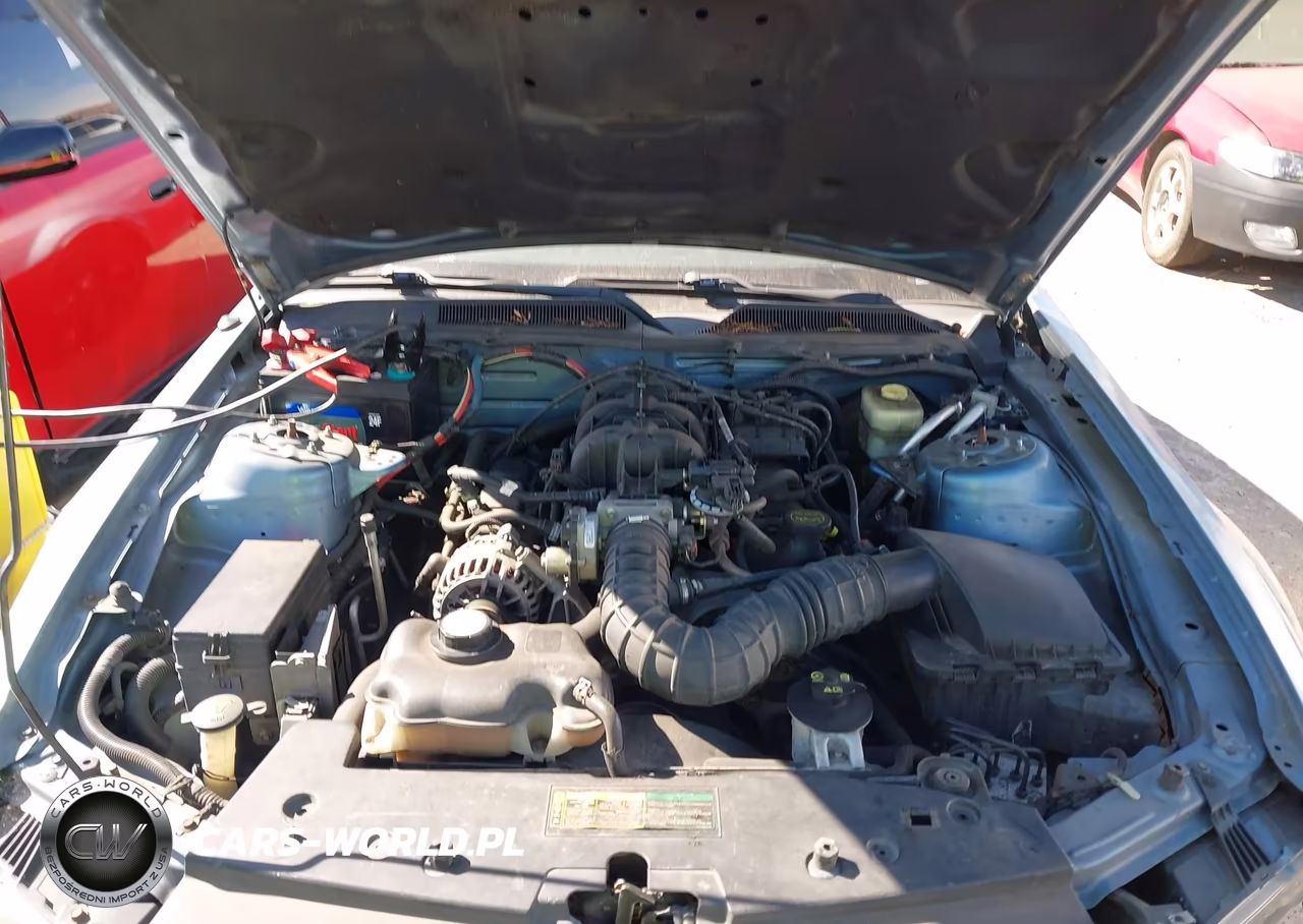2006 Ford Mustang V6 VIN:1ZVFT80N465232279 - 10