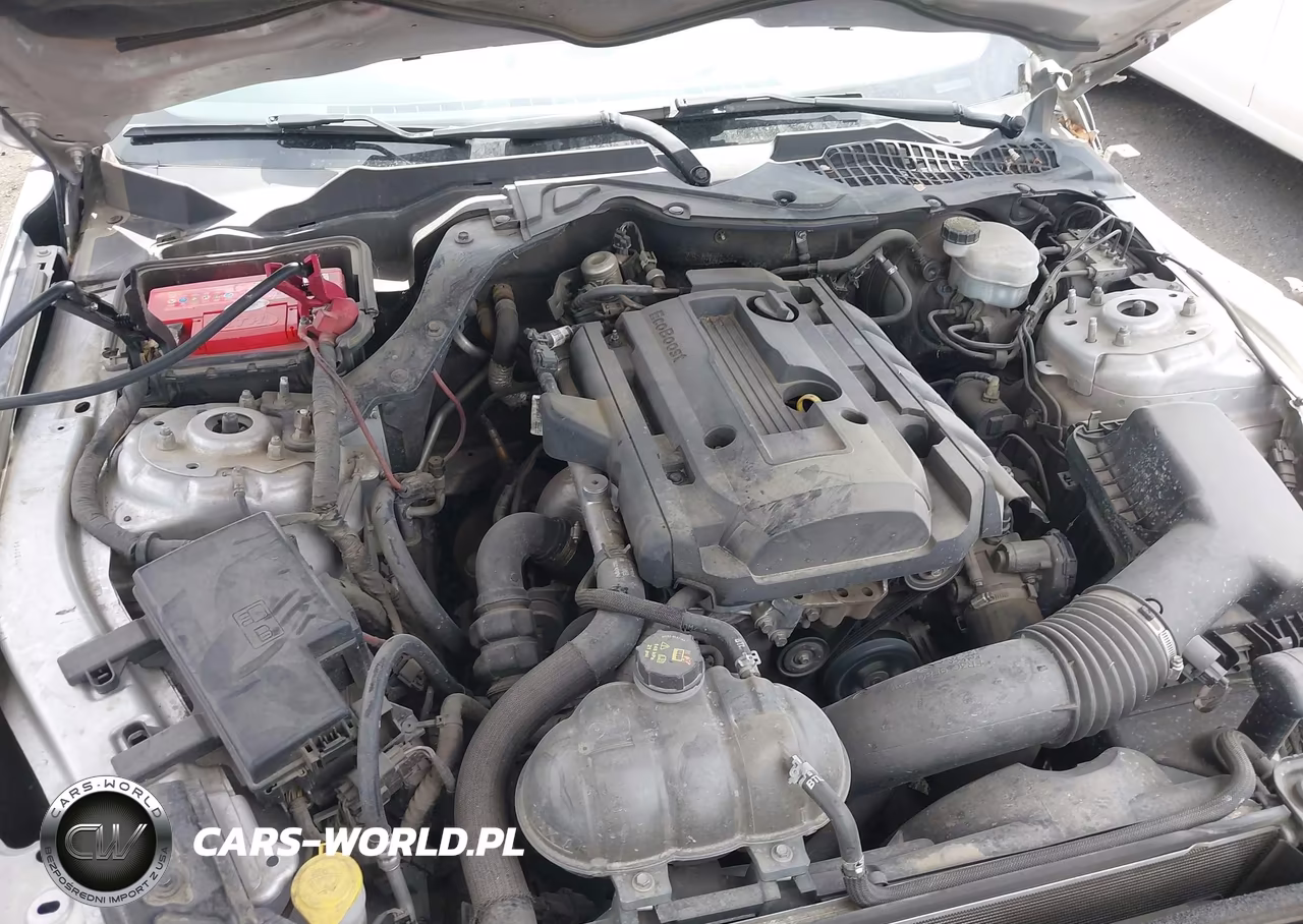 2015 Ford Mustang Ecoboost VIN:1FA6P8THXF5343552 - 10