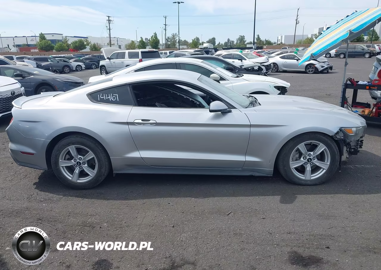 2015 Ford Mustang Ecoboost VIN:1FA6P8THXF5343552 - 14