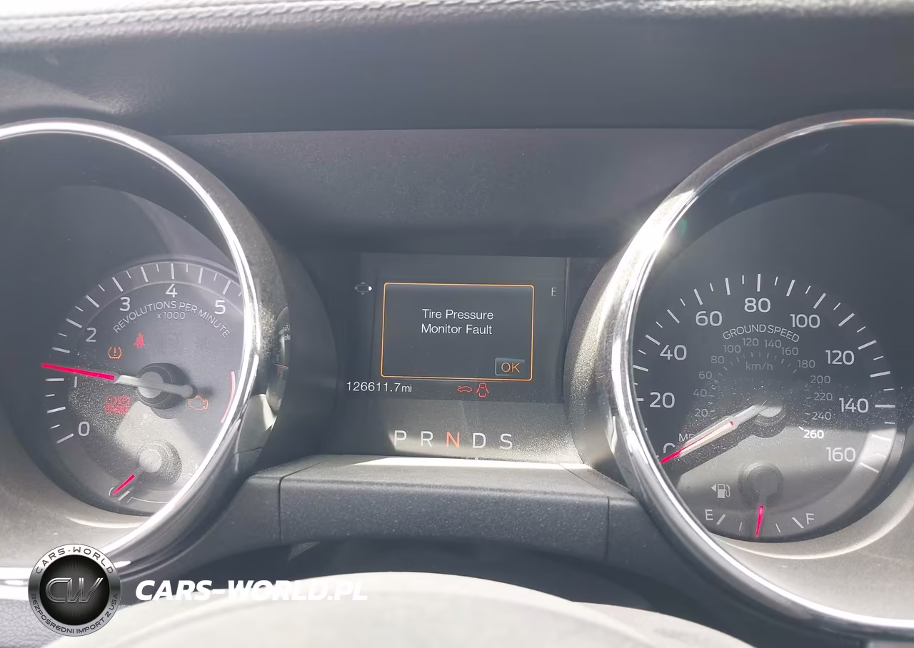 2015 Ford Mustang Ecoboost VIN:1FA6P8THXF5343552 - 16