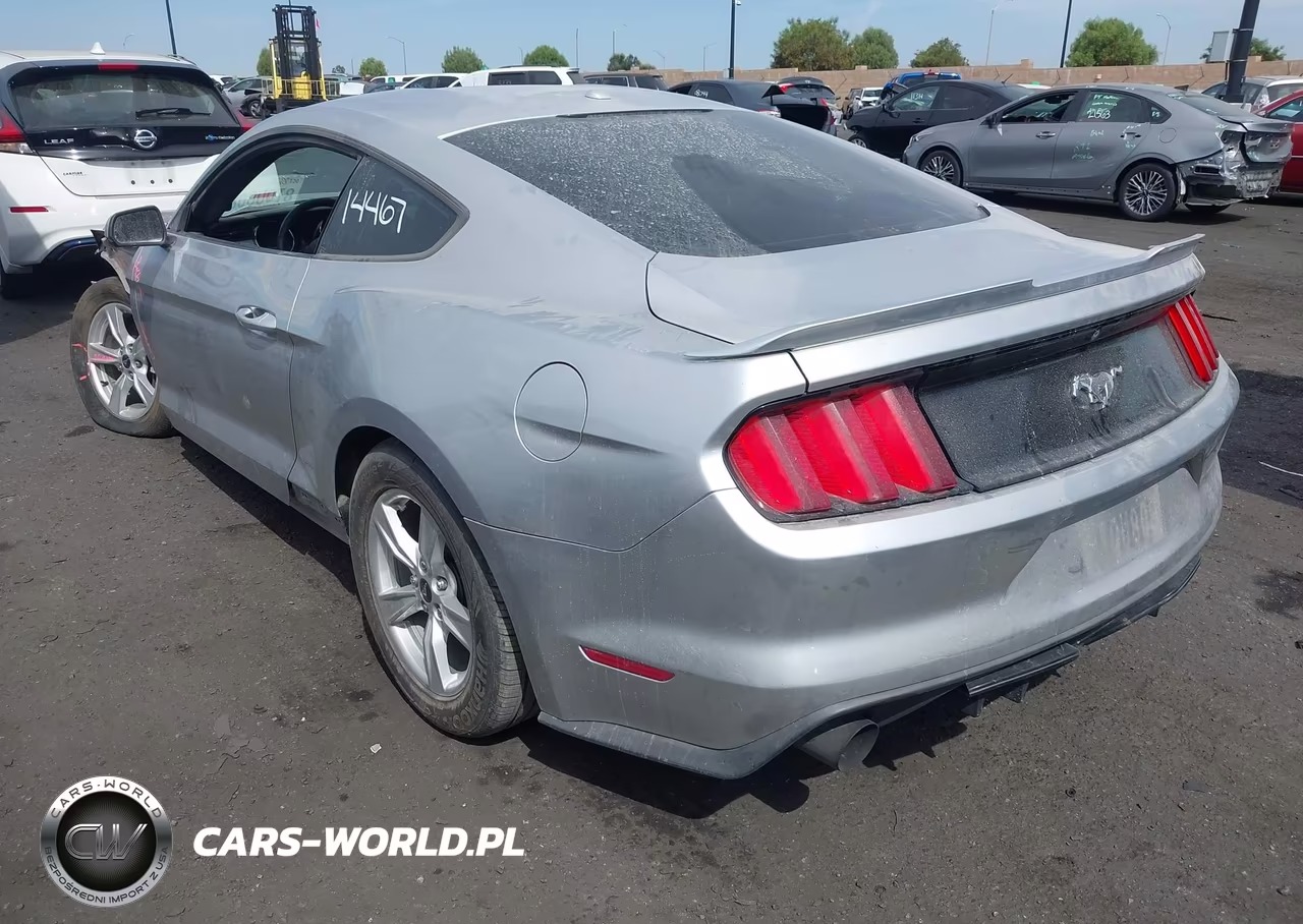 2015 Ford Mustang Ecoboost VIN:1FA6P8THXF5343552 - 3