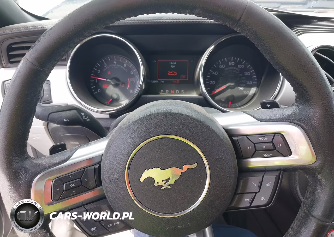 2015 Ford Mustang Ecoboost VIN:1FA6P8THXF5343552 - 7