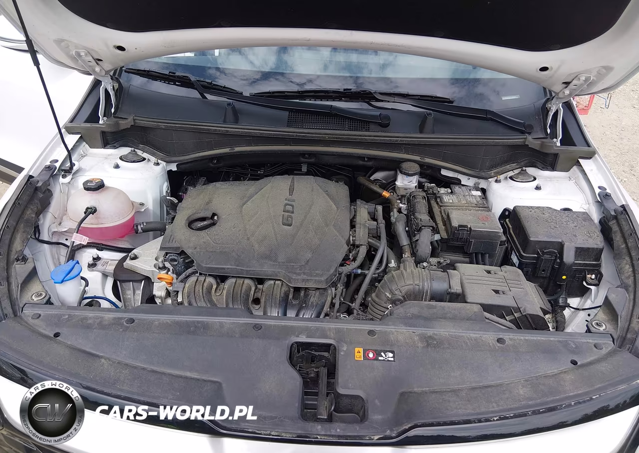 2025 Kia Sportage Ex VIN:5XYK3CDF8SG286662 - 10