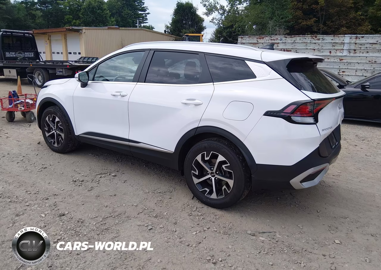 2025 Kia Sportage Ex VIN:5XYK3CDF8SG286662 - 3
