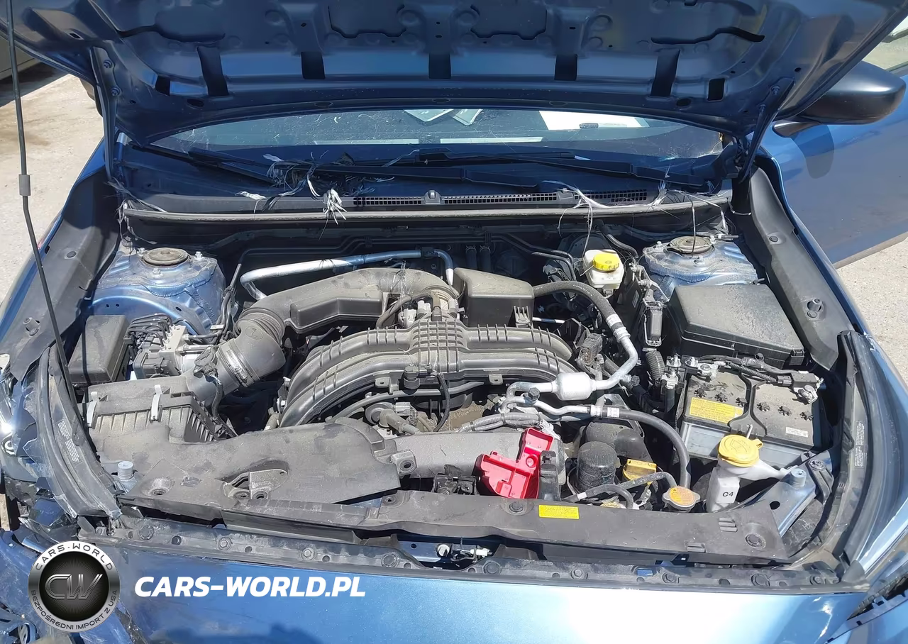 2024 Subaru Crosstrek VIN:JF2GUABC1RH294007 - 10