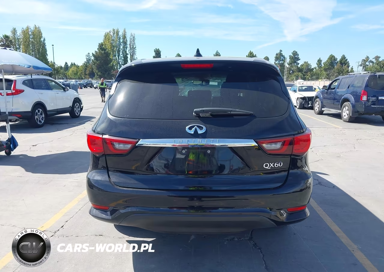 2020 Infiniti Qx60 Pure VIN:5N1DL0MNXLC540842 - 16