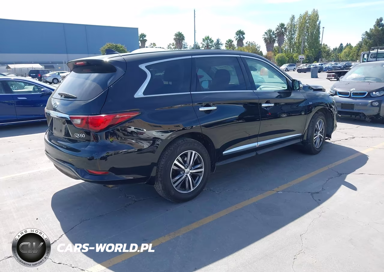 2020 Infiniti Qx60 Pure VIN:5N1DL0MNXLC540842 - 4