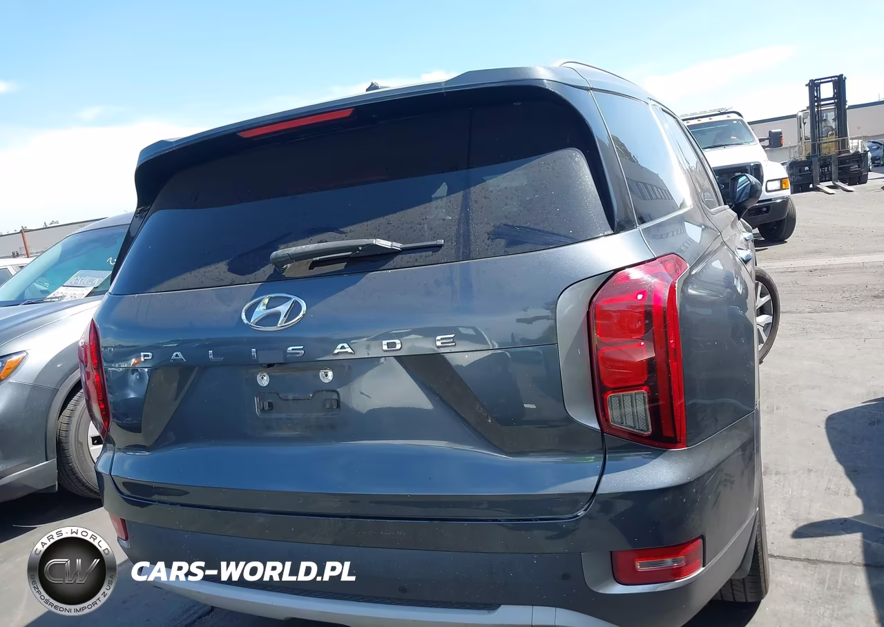 2020 Hyundai Palisade Sel VIN:KM8R34HE5LU101629 - 17