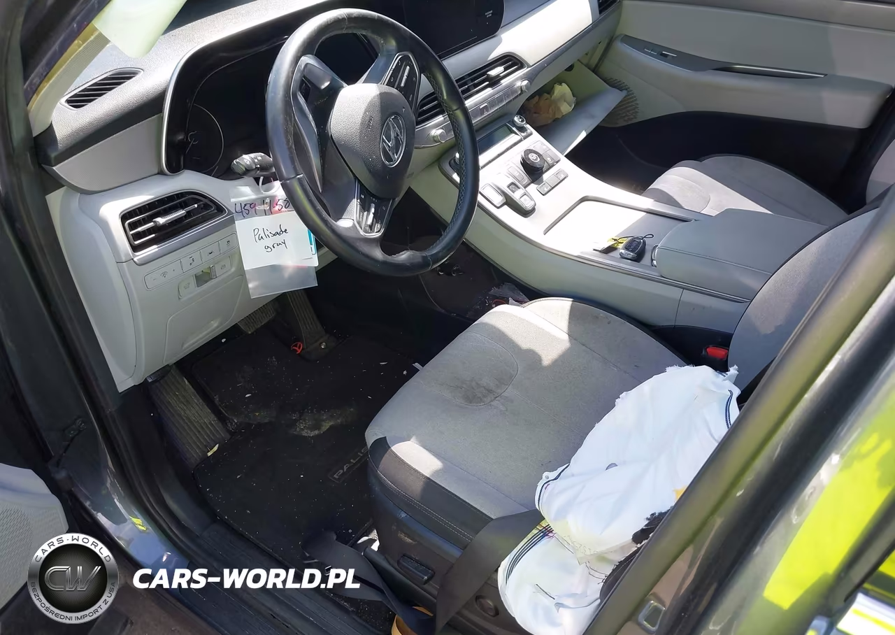 2020 Hyundai Palisade Sel VIN:KM8R34HE5LU101629 - 18