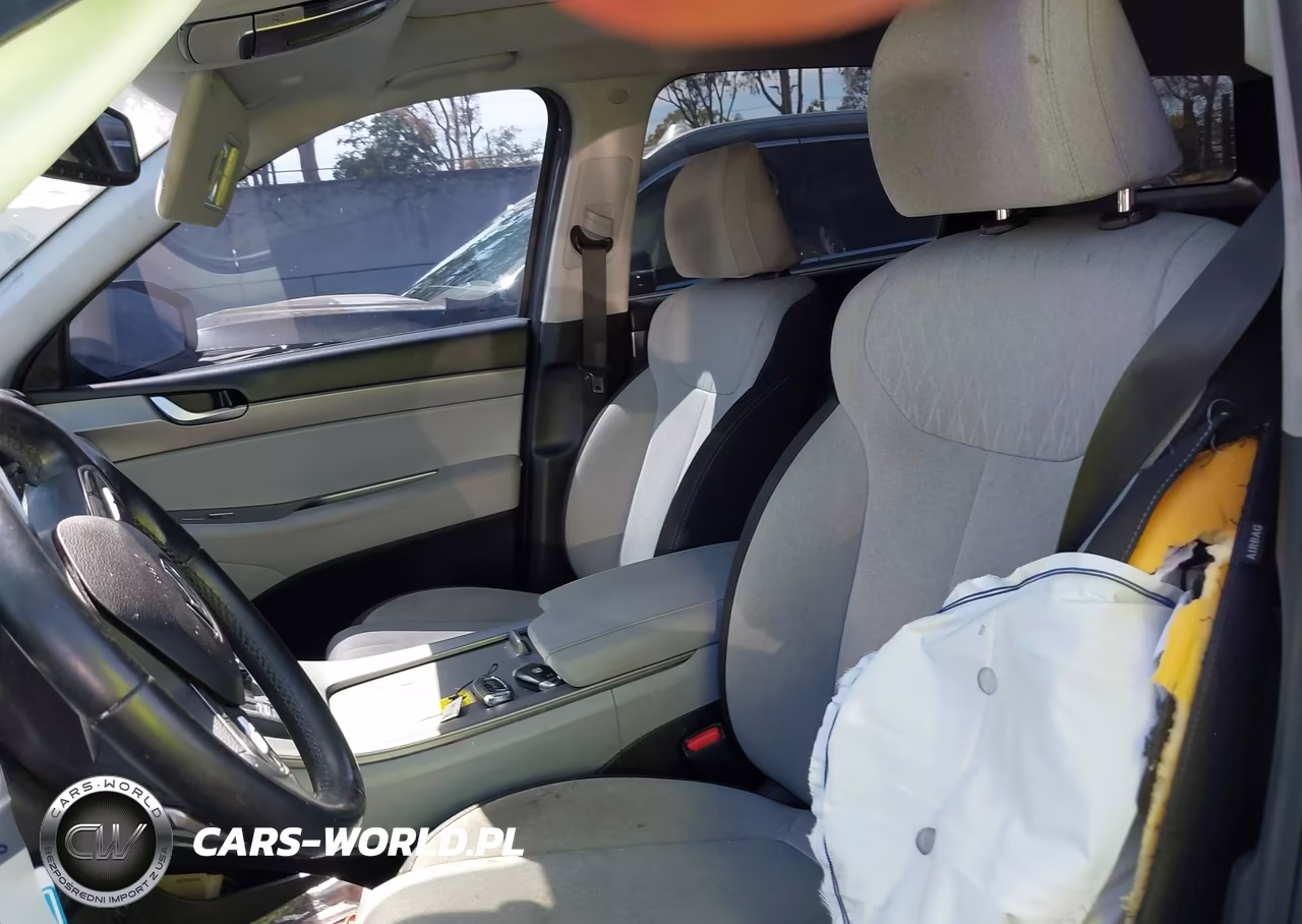 2020 Hyundai Palisade Sel VIN:KM8R34HE5LU101629 - 19