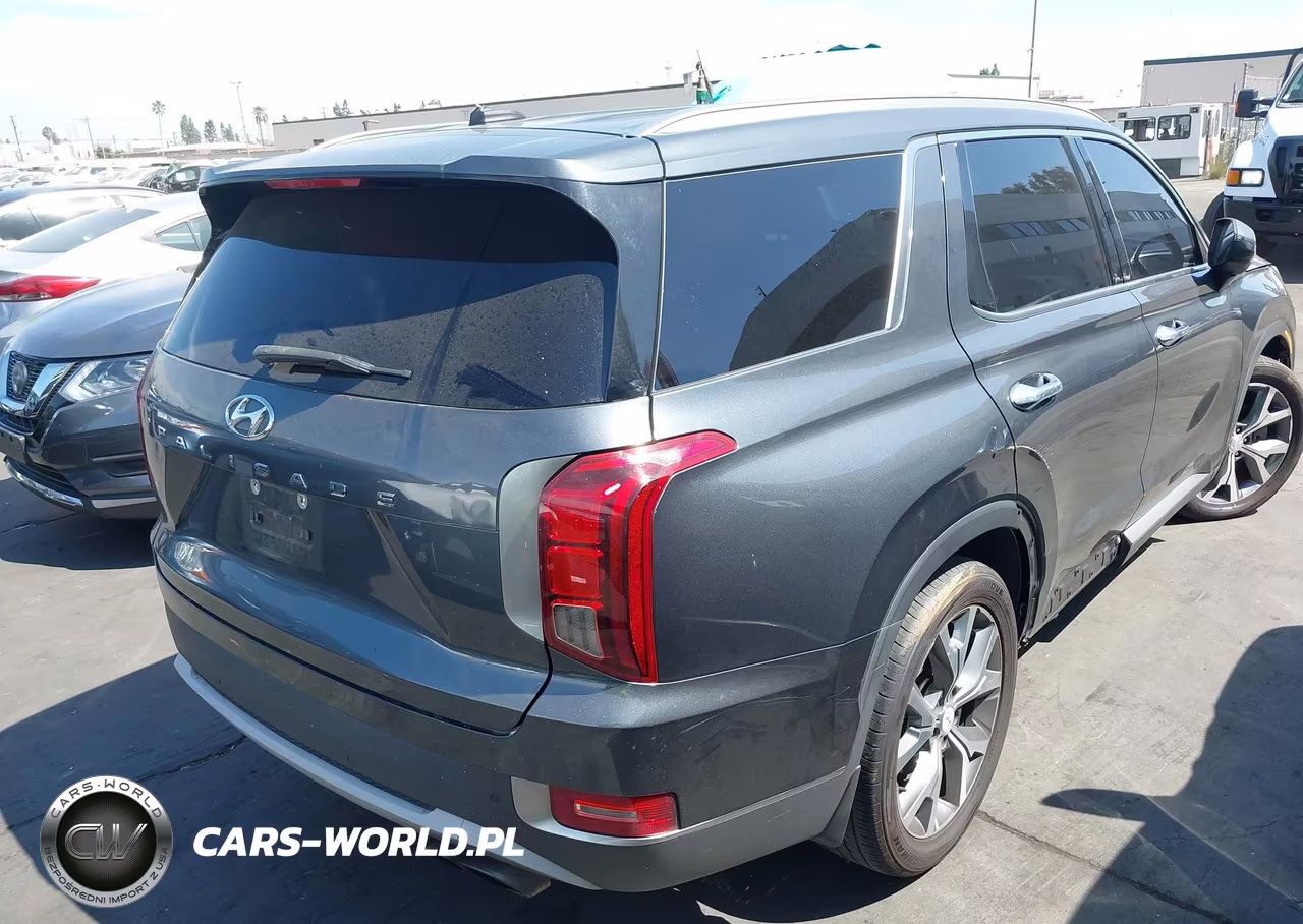 2020 Hyundai Palisade Sel VIN:KM8R34HE5LU101629 - 4
