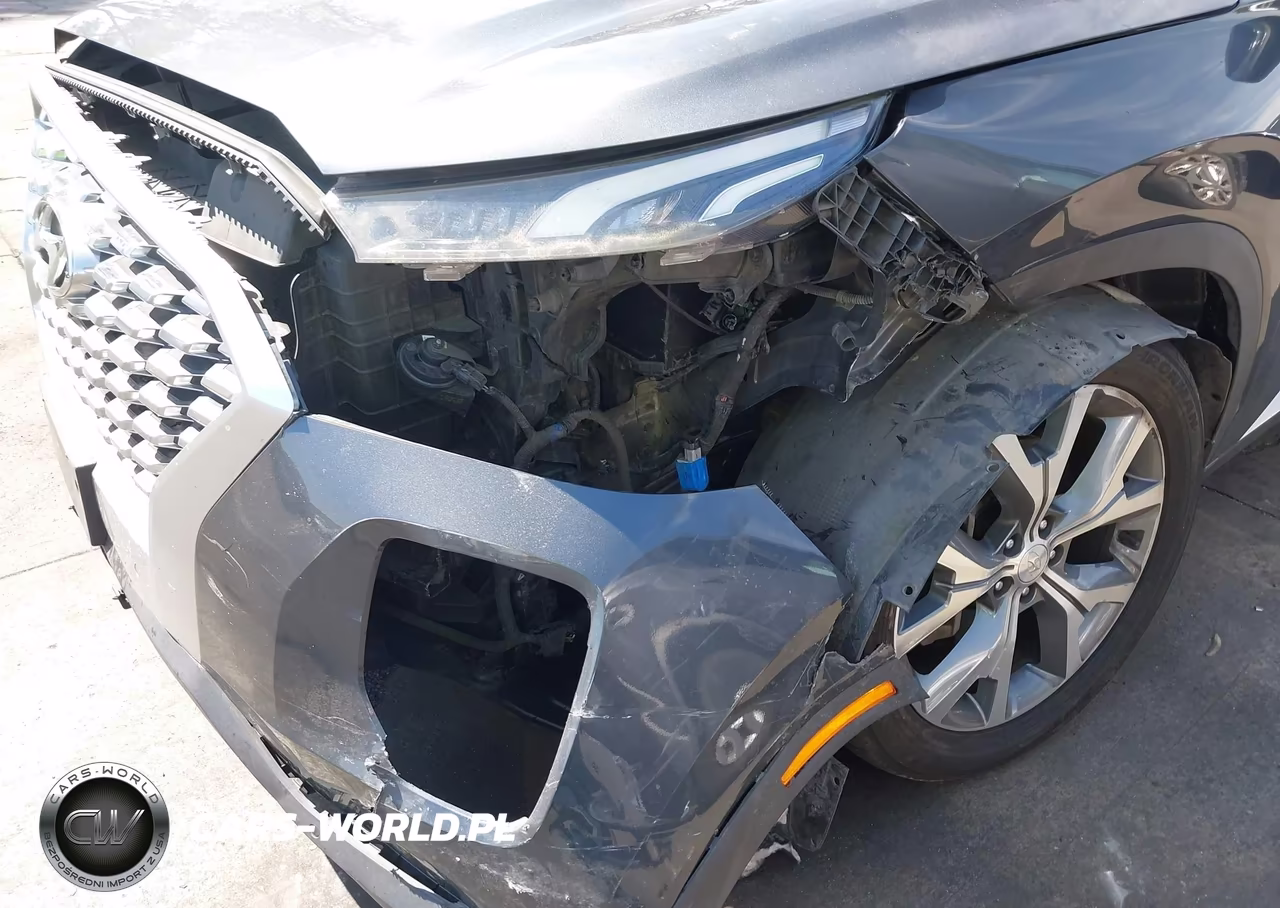 2020 Hyundai Palisade Sel VIN:KM8R34HE5LU101629 - 6