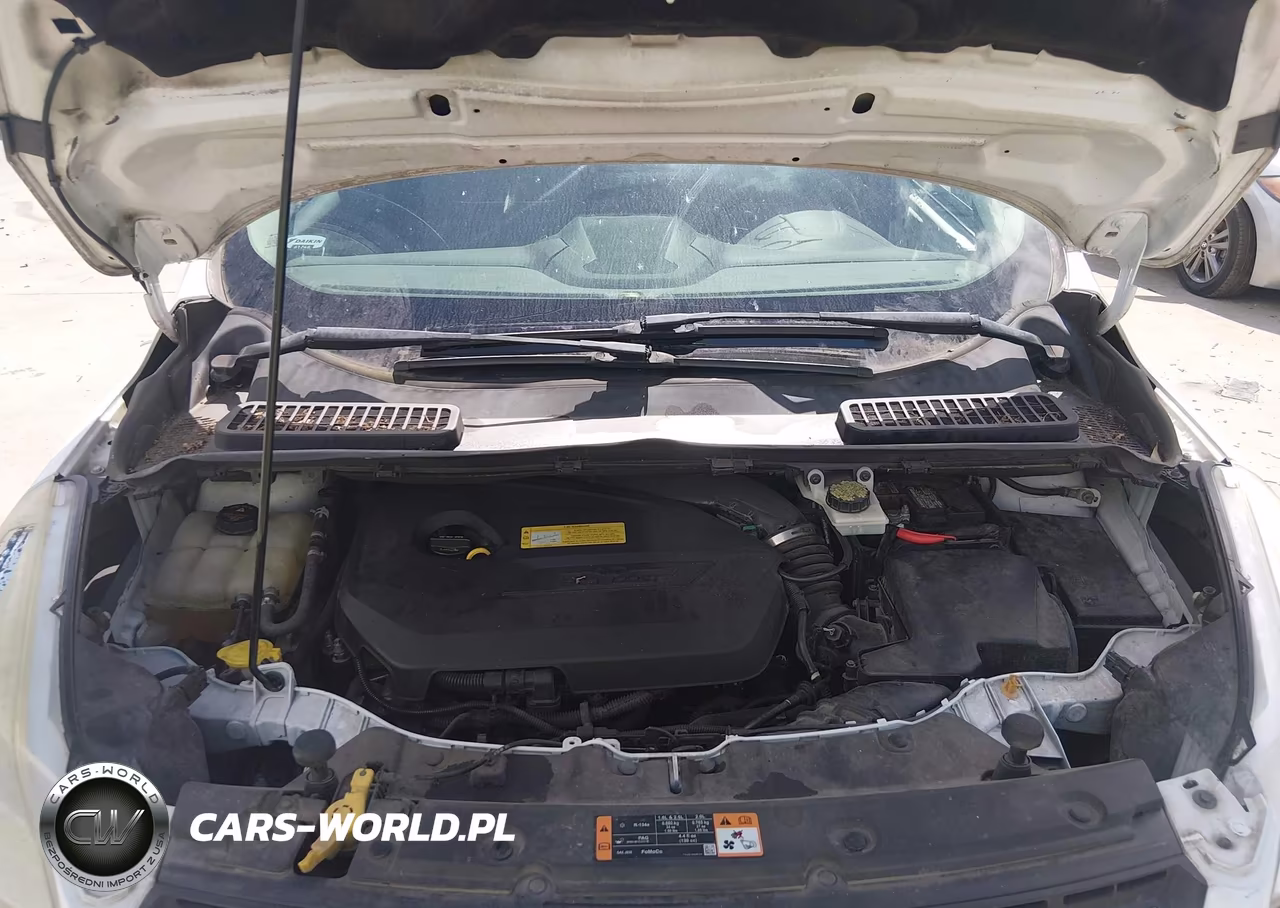 2014 Ford Escape Se VIN:1FMCU0GX1EUC47009 - 10