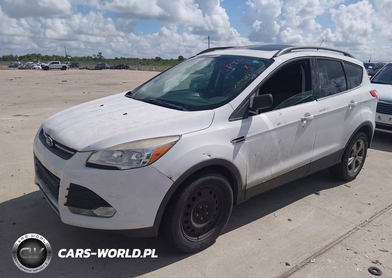 2014 Ford Escape Se VIN:1FMCU0GX1EUC47009 - 2